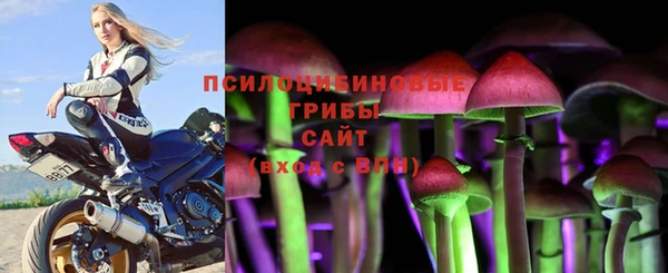 2c-b Мегион