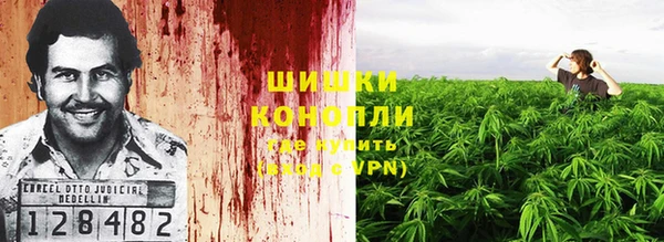 дживик Медвежьегорск