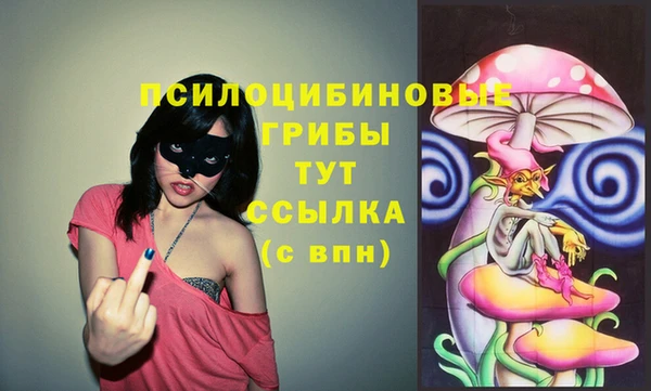 дживик Медвежьегорск