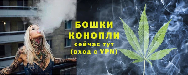 дживик Медвежьегорск