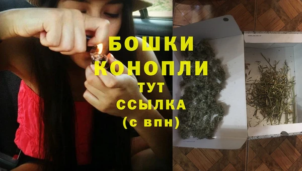 дживик Медвежьегорск
