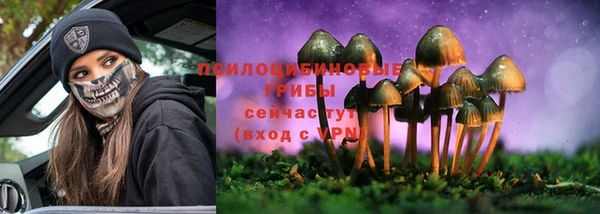 2c-b Мегион